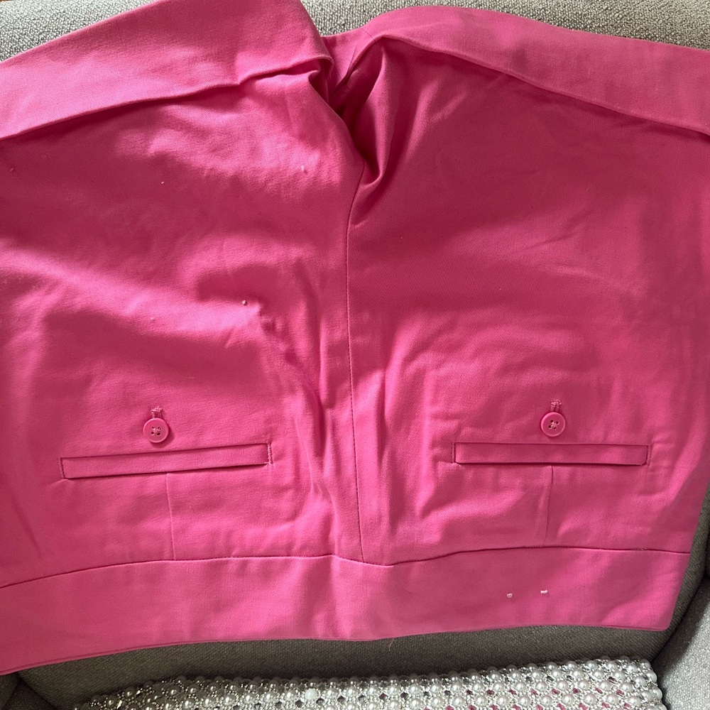 Express Pink Editor Shorts - Picture 3 of 3